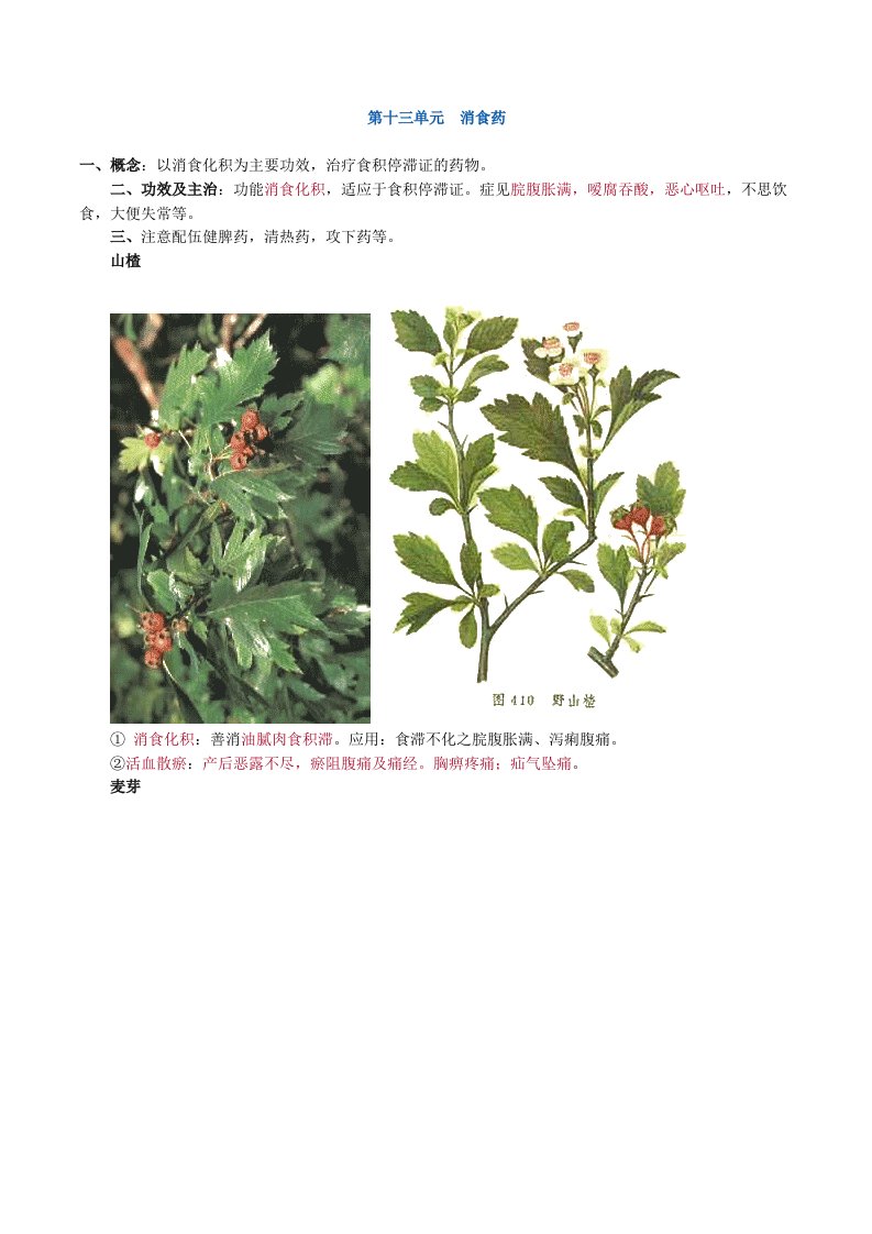 执业中药师中药学消食药