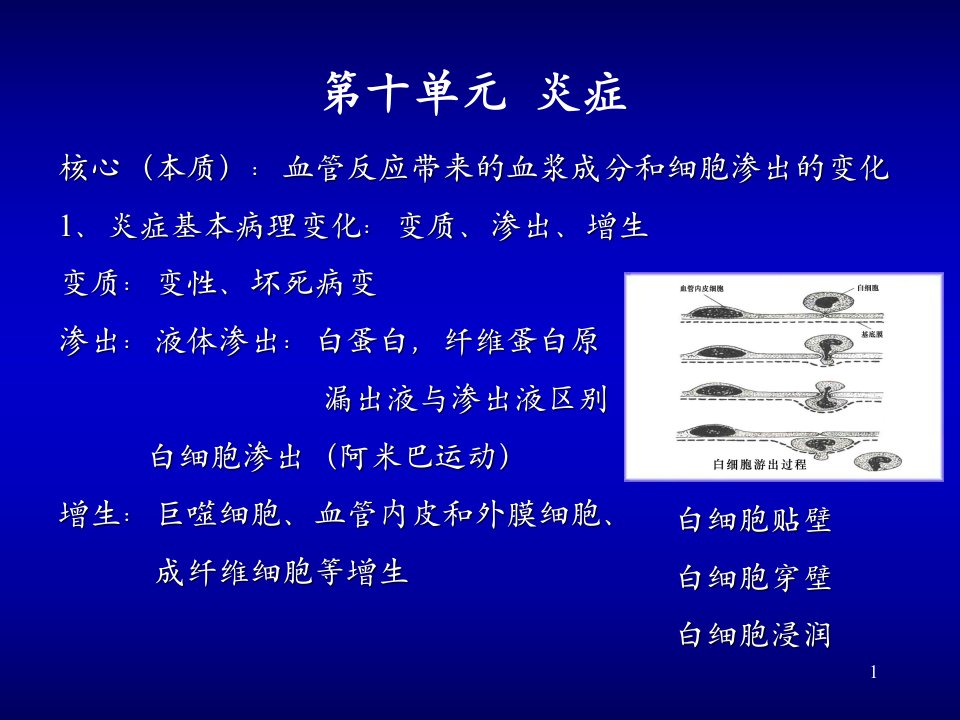 执业兽医培训ppt课件【兽医病理】10-14单元