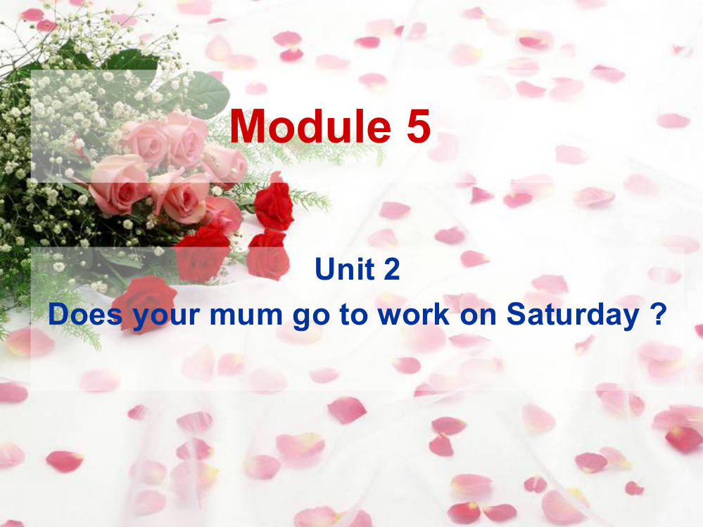 三年级下册Module-5Unit2Does-your-mum-go-to-work-on-Saturdays