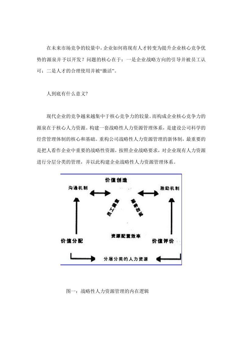 透视企业战略性人力资源分层管理模式