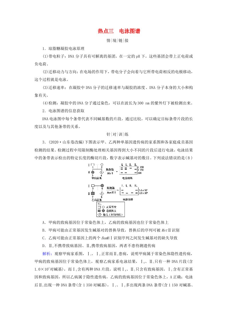 2025版高考生物一轮总复习教师用书必修2情境拓展4“剂量补偿效应”性染色体变异与电泳图谱热点三电泳图谱