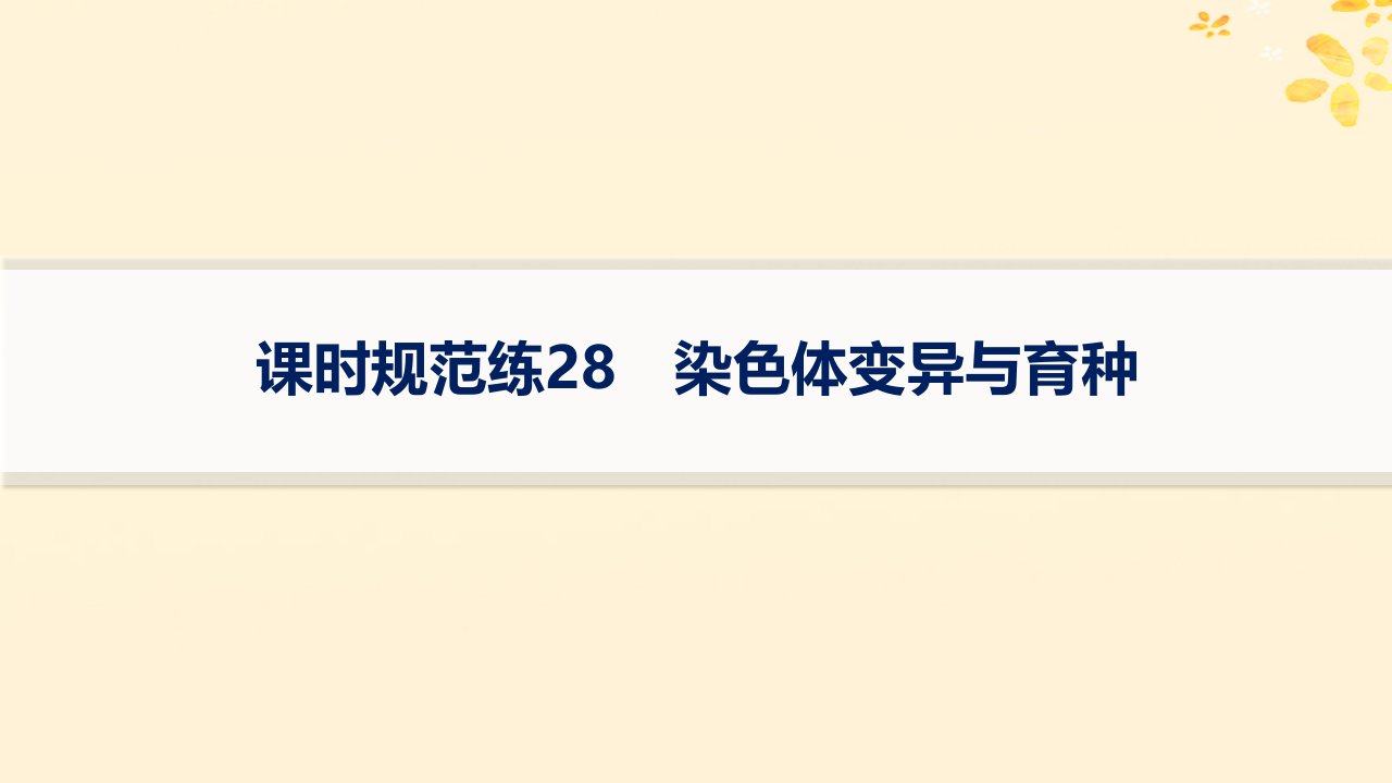 适用于新高考新教材备战2025届高考生物一轮总复习第7单元生物的变异和进化课时规范练28染色体变异与育种课件