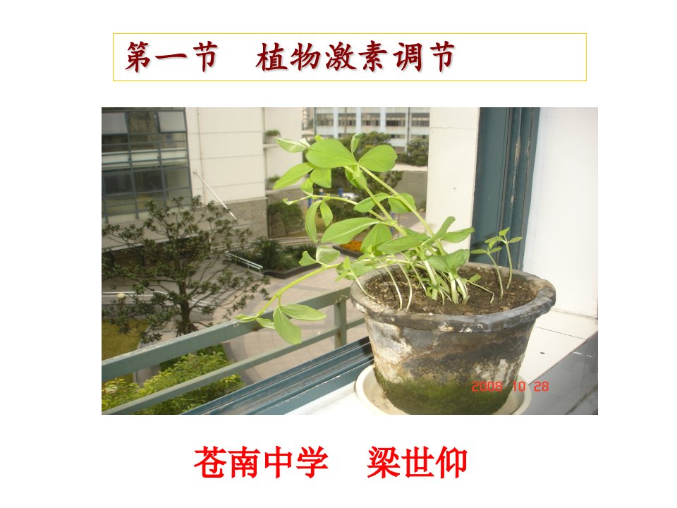 第一节植物激素调节名师编辑PPT课件