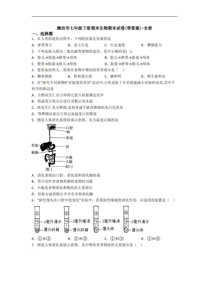 潍坊市七年级下册期末生物期末试卷(带答案)-全册