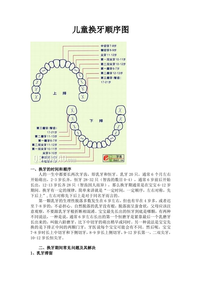 儿童换牙顺序图