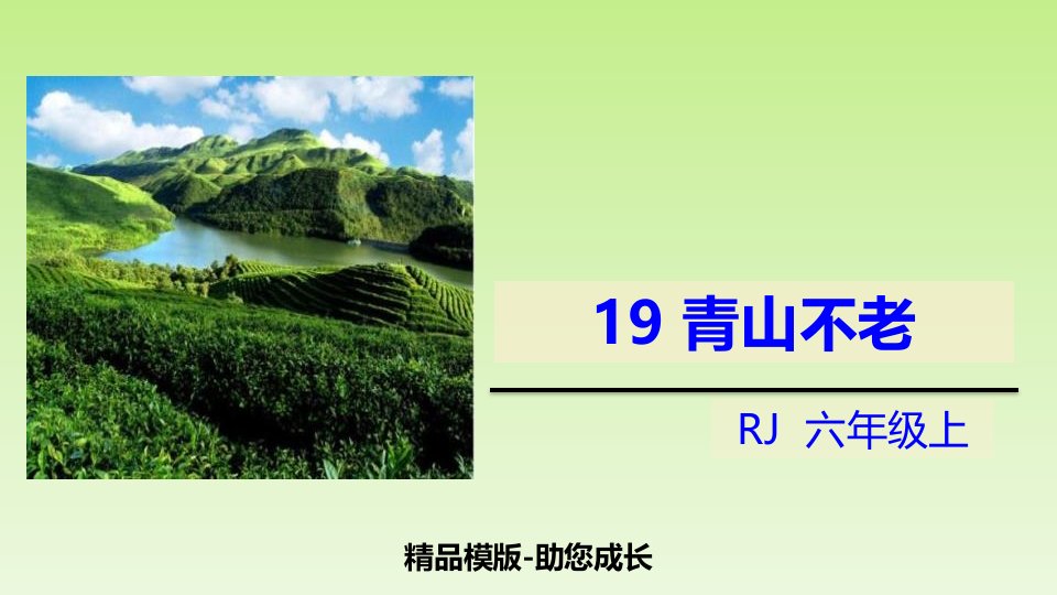 青山不老--ppt-课件模版