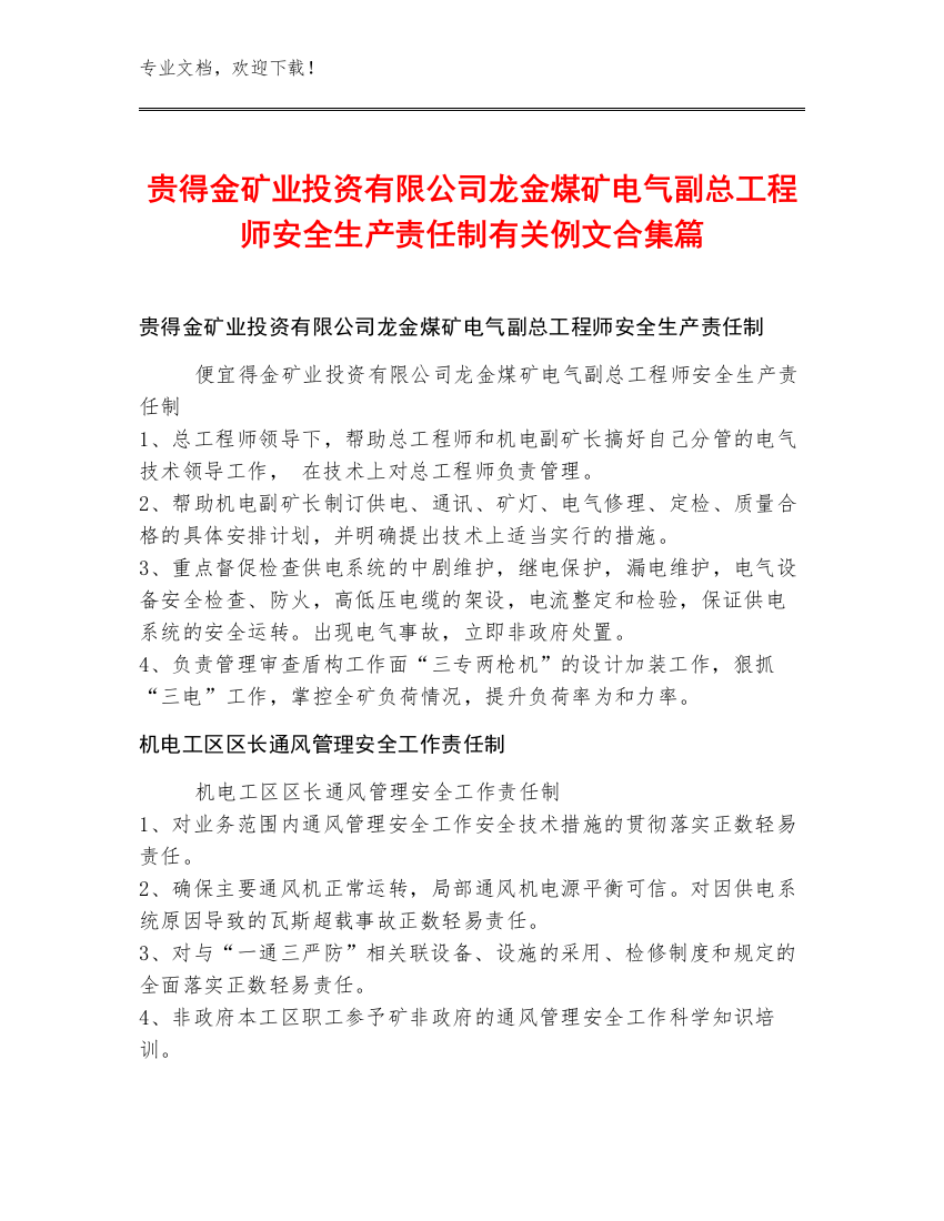 贵得金矿业投资有限公司龙金煤矿电气副总工程师安全生产责任制例文合集篇