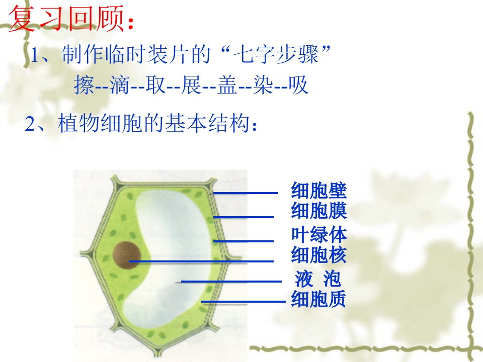 人教版七年级上册生物-第二单元第一章第三节动物细胞课件