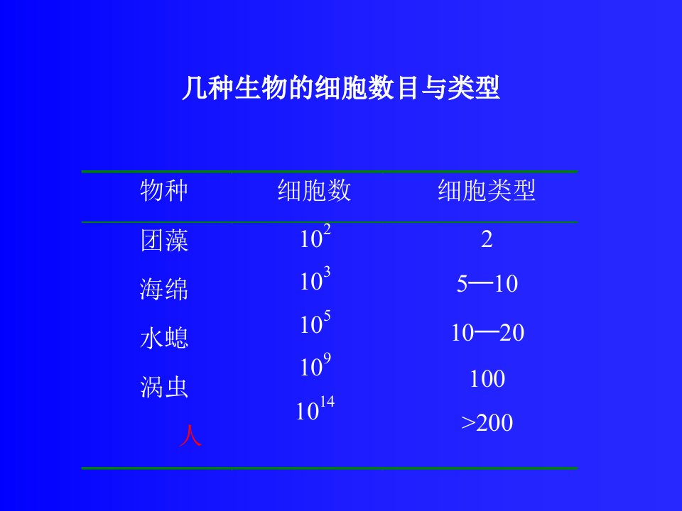 细胞分化与癌细胞10教案资料