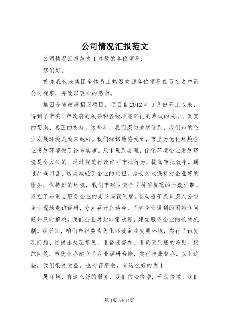 公司情况汇报范文