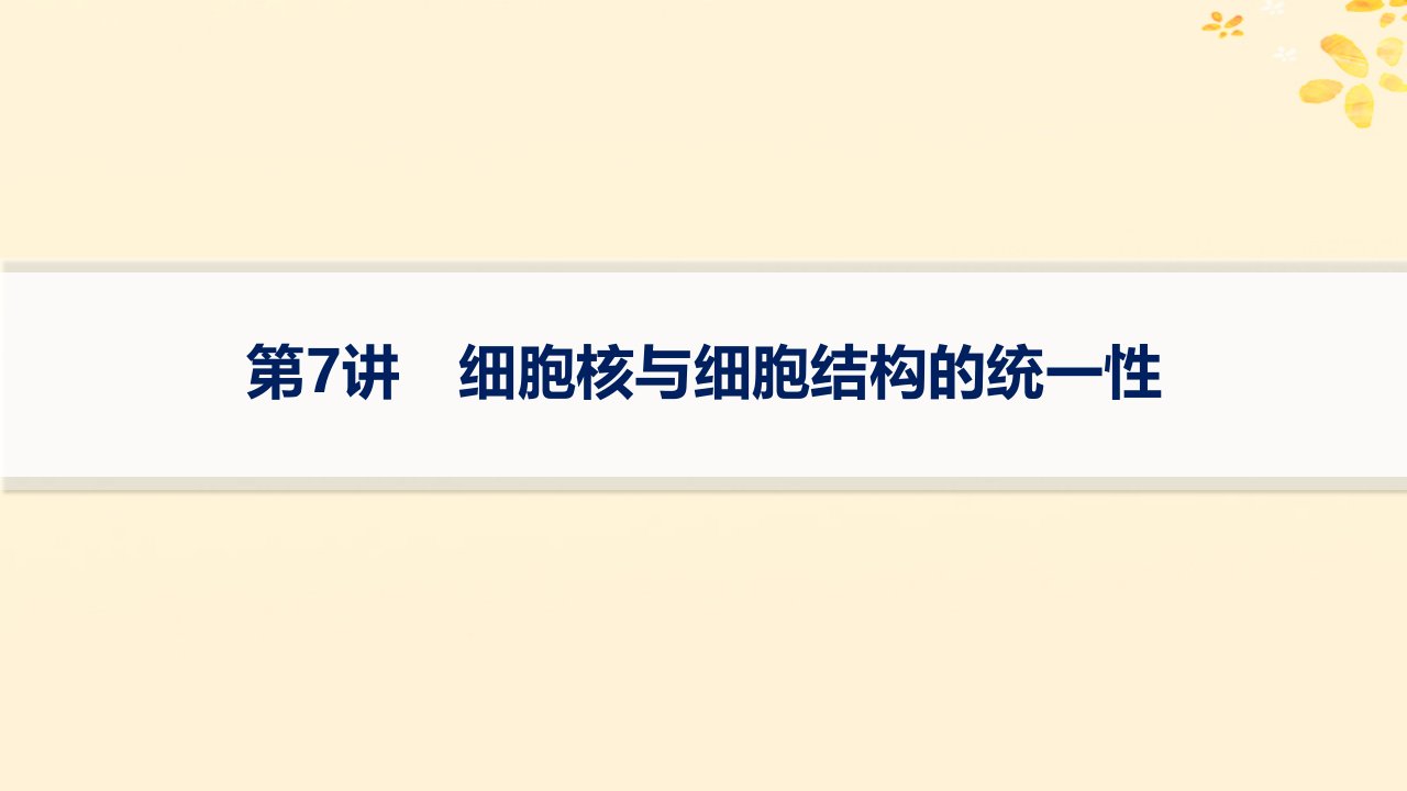 适用于新高考新教材备战2025届高考生物一轮总复习第2单元细胞的基本结构及物质运输第7讲细胞核与细胞结构的统一性课件