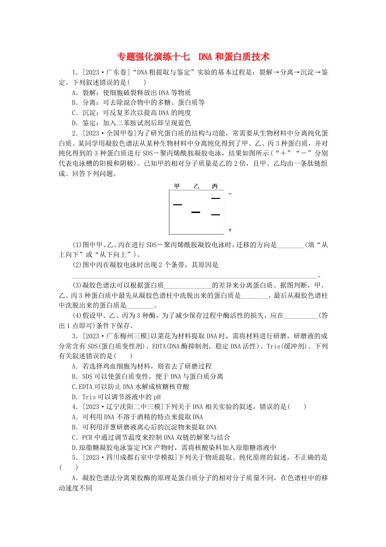 统考版2024届高考生物二轮专项分层特训卷第一部分专题强化演练十七DNA和蛋白质技术