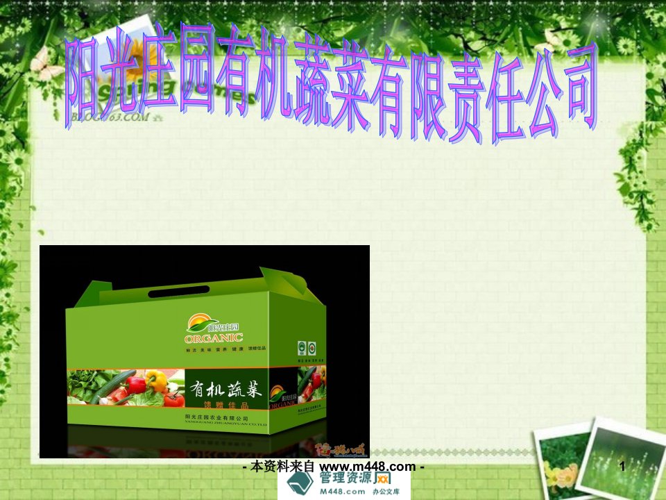 有机蔬菜投资项目商业计划书PPT53页