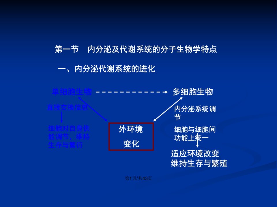 内分泌及代谢性疾病的分子机制