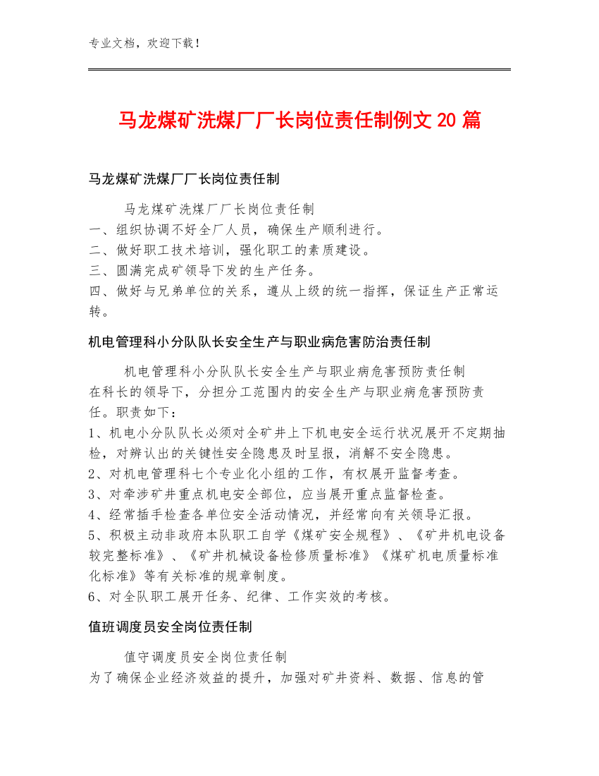 马龙煤矿洗煤厂厂长岗位责任制例文20篇