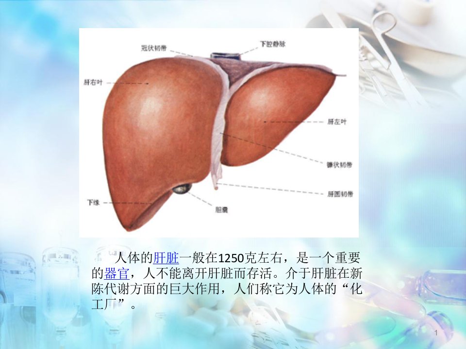 肝脏病人麻醉医学PPT课件