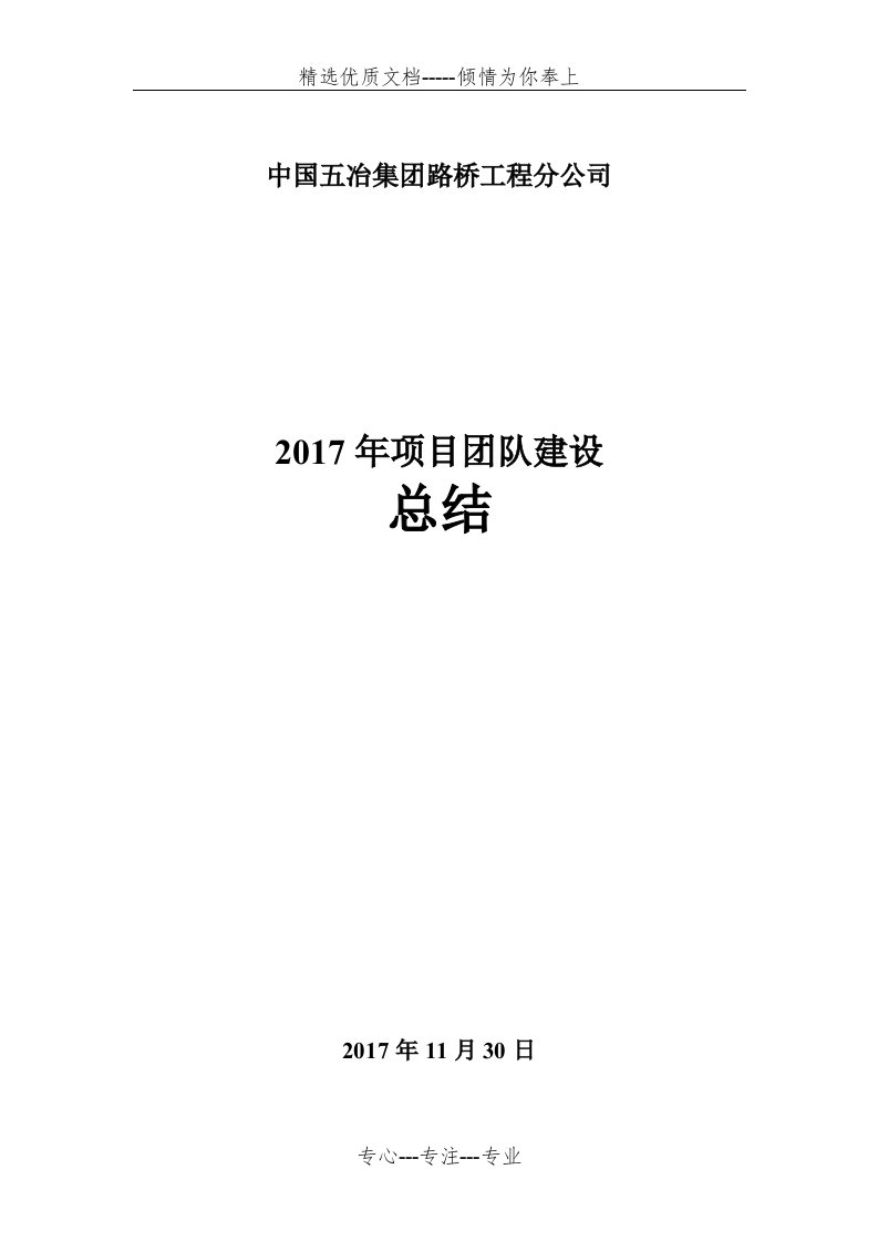 项目团队建设总结(共4页)