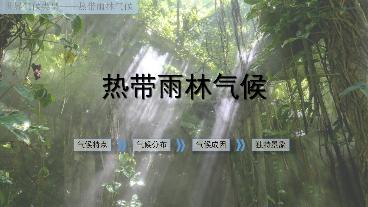 热带雨林气候详解