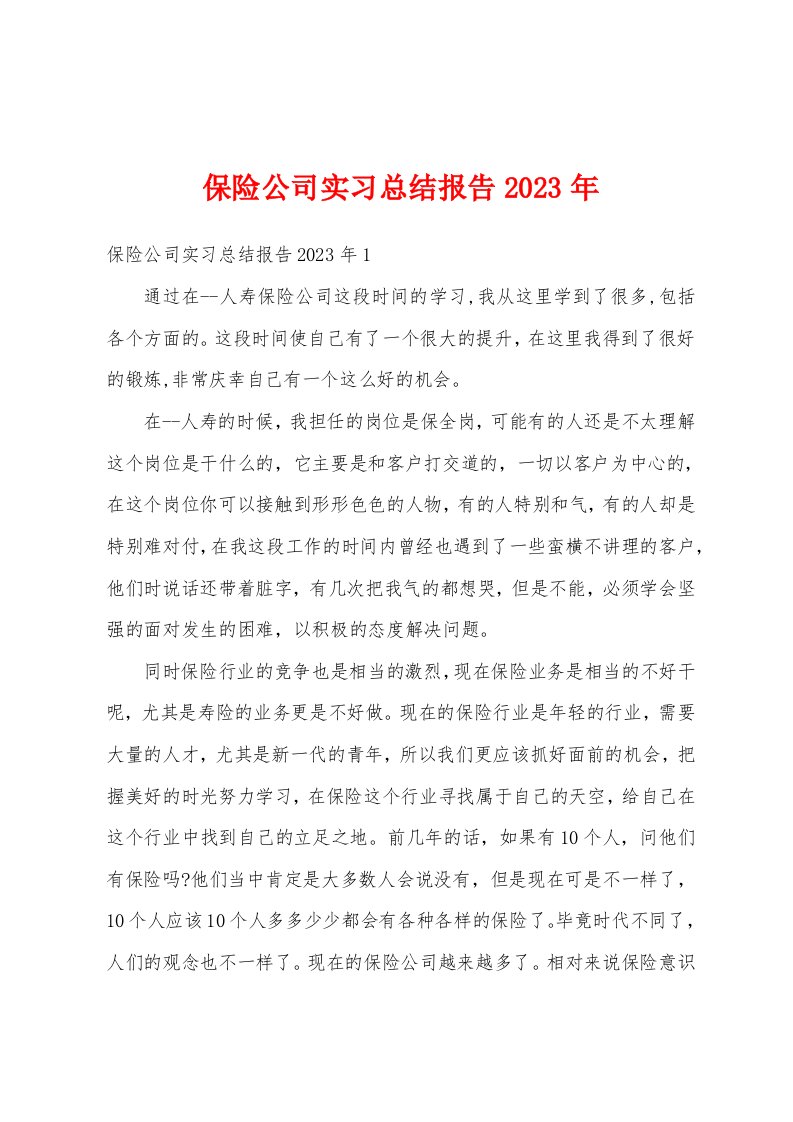 保险公司实习总结报告2023年