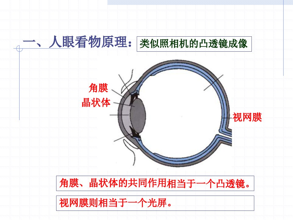 近视眼和远视眼