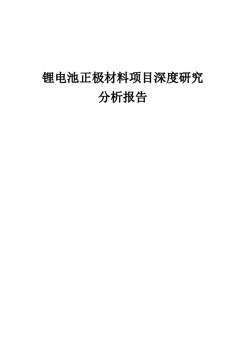 锂电池正极材料项目深度研究分析报告