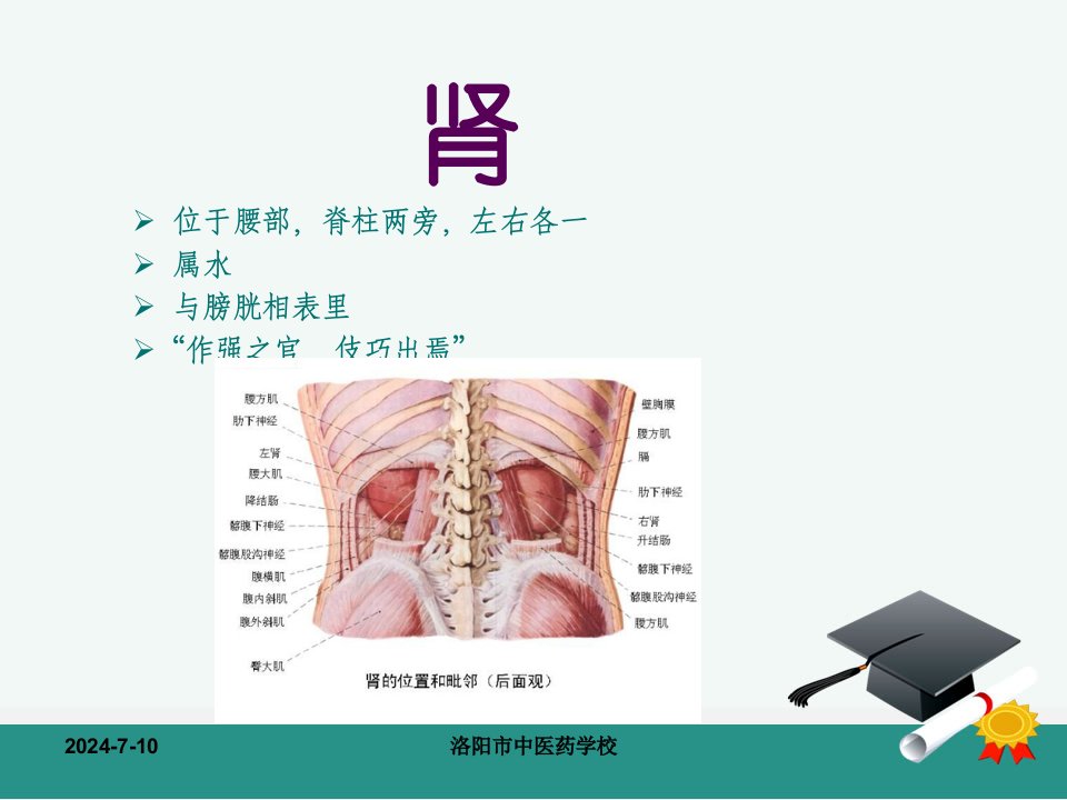 洛阳市中医药学校