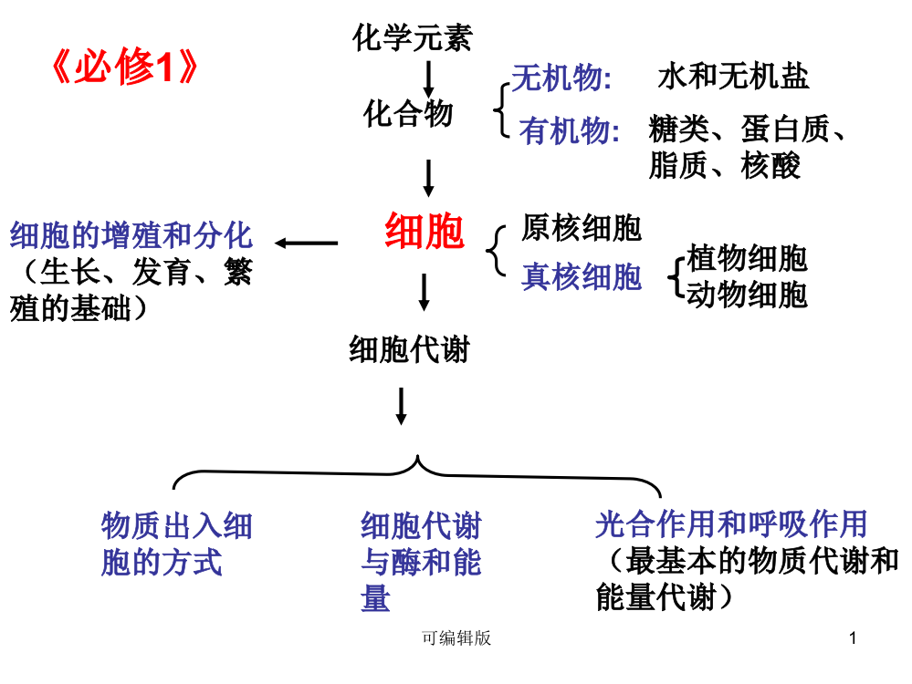 细胞的增殖与分化1