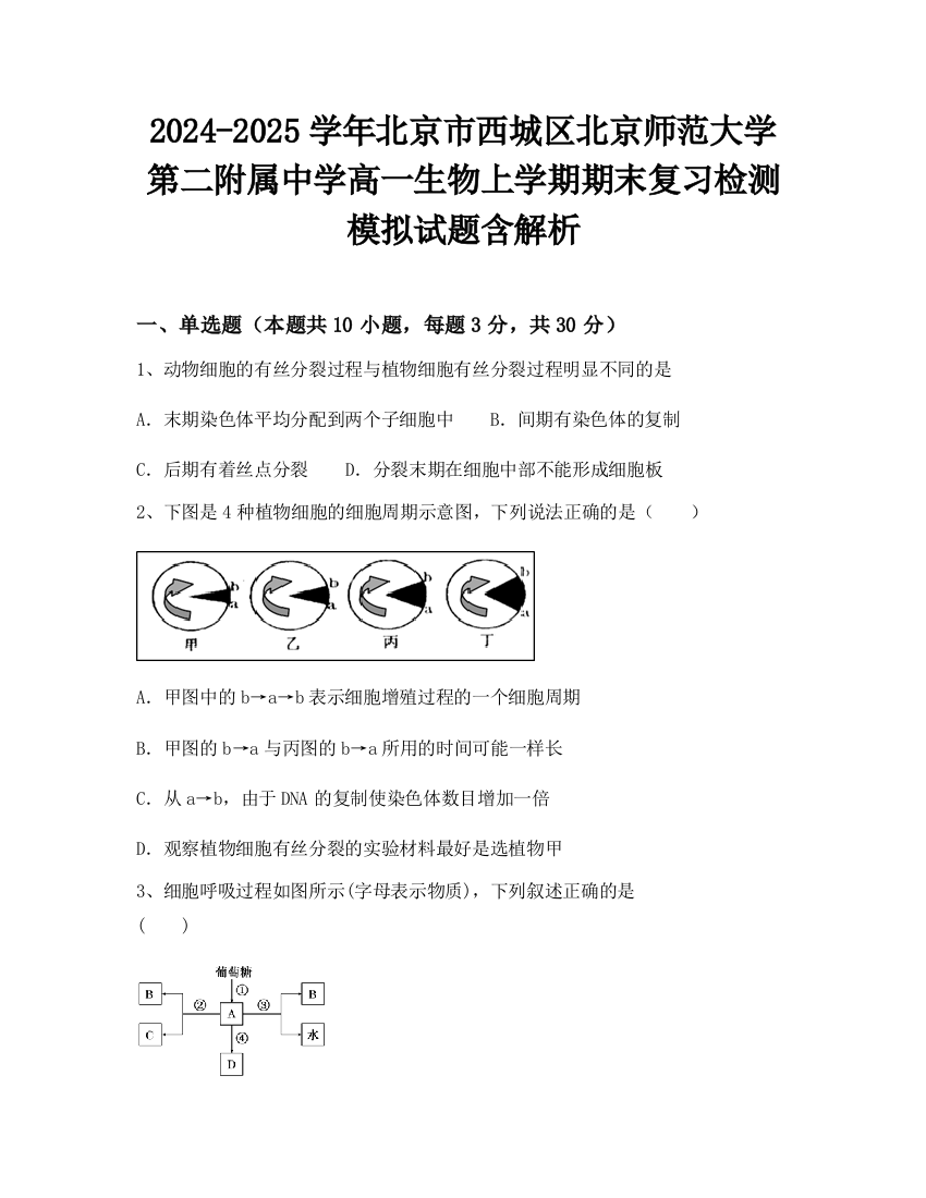 2024-2025学年北京市西城区北京师范大学第二附属中学高一生物上学期期末复习检测模拟试题含解析