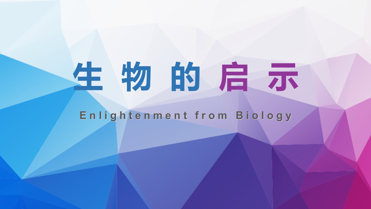 生物的启示优质课公开课ppt课件