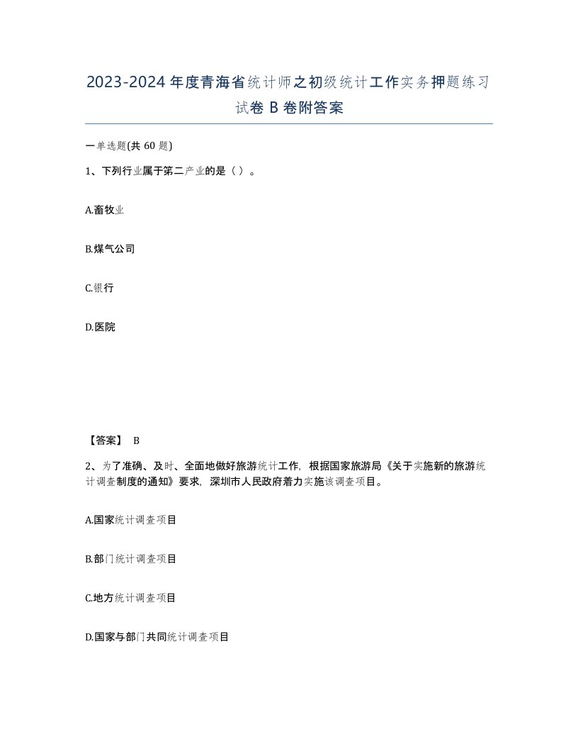 2023-2024年度青海省统计师之初级统计工作实务押题练习试卷B卷附答案