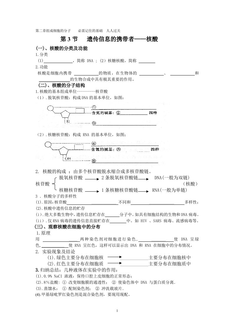 第二章组成细胞的分子