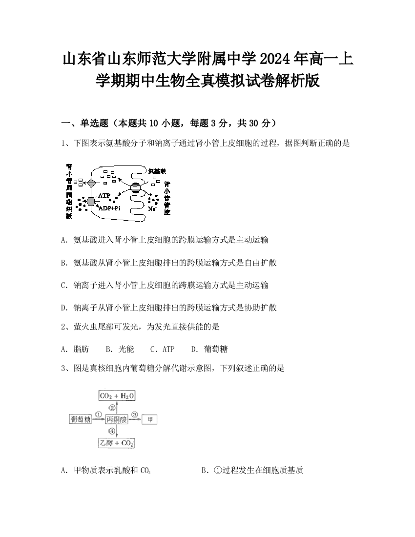 山东省山东师范大学附属中学2024年高一上学期期中生物全真模拟试卷解析版