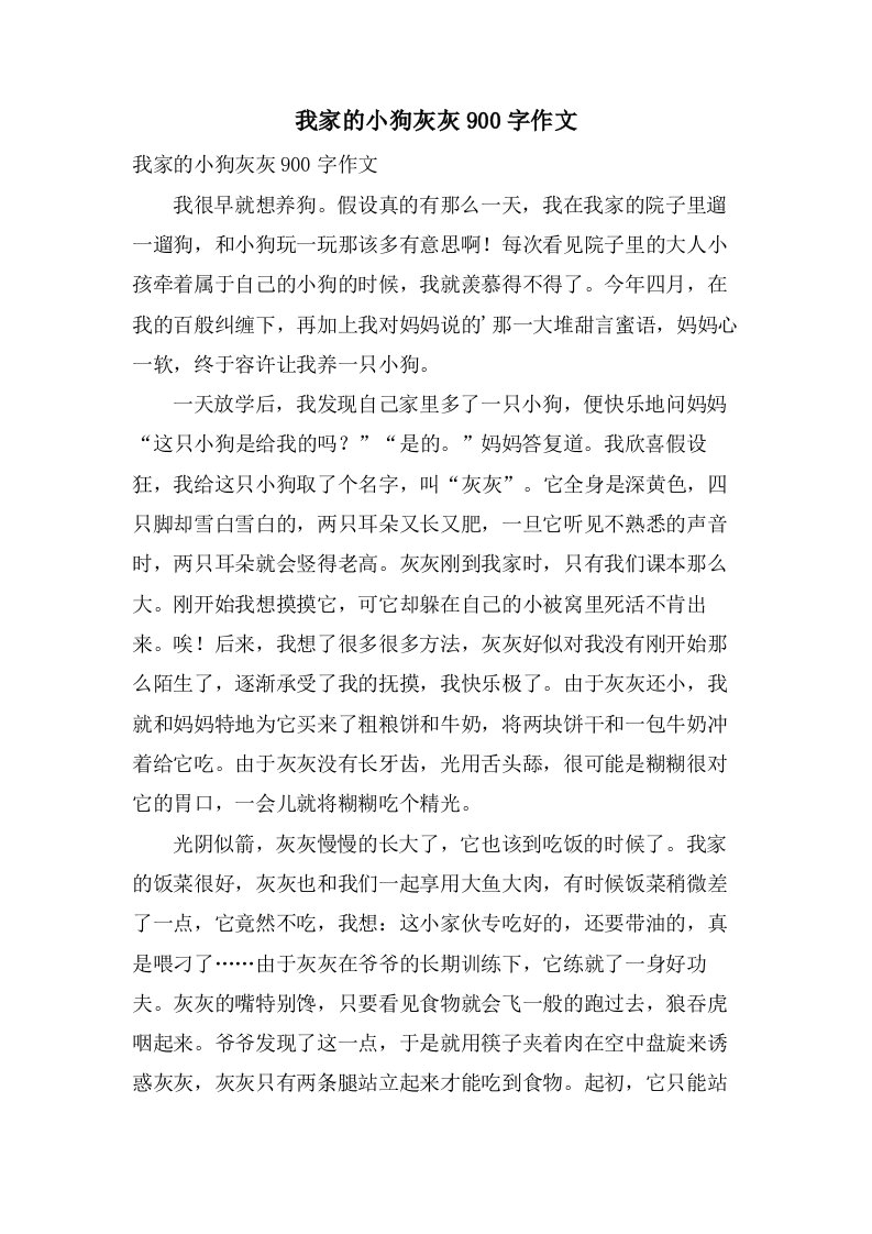 我家的小狗灰灰900字作文