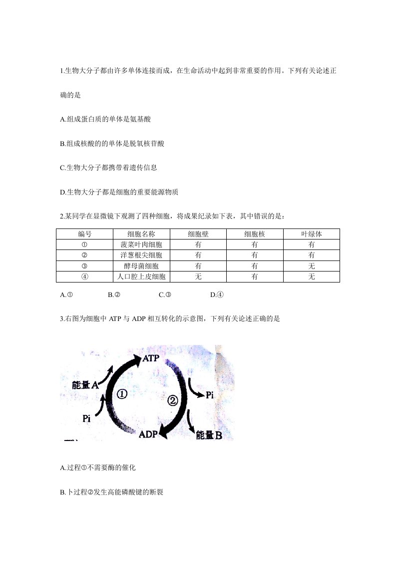 2024年安徽省学业水平测试生物部分