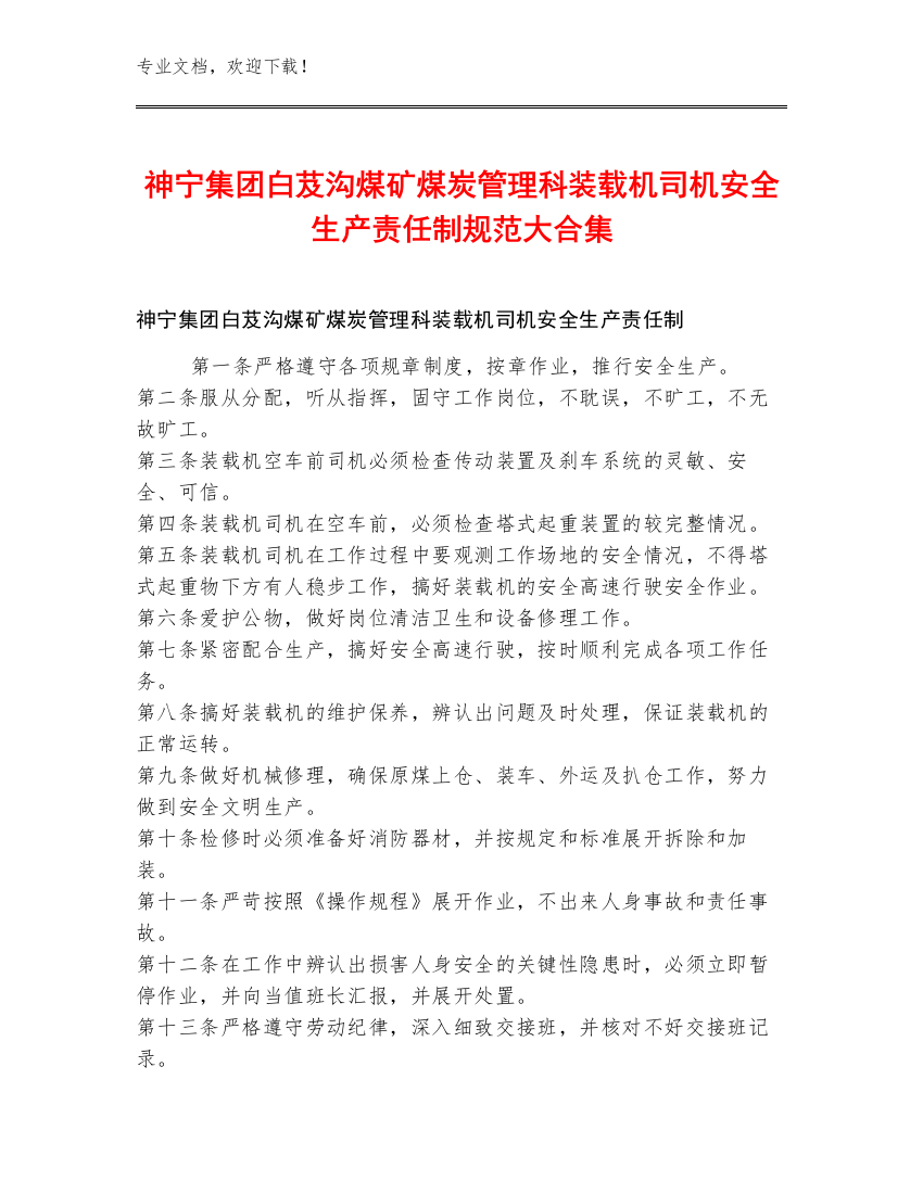 神宁集团白芨沟煤矿煤炭管理科装载机司机安全生产责任制规范大合集