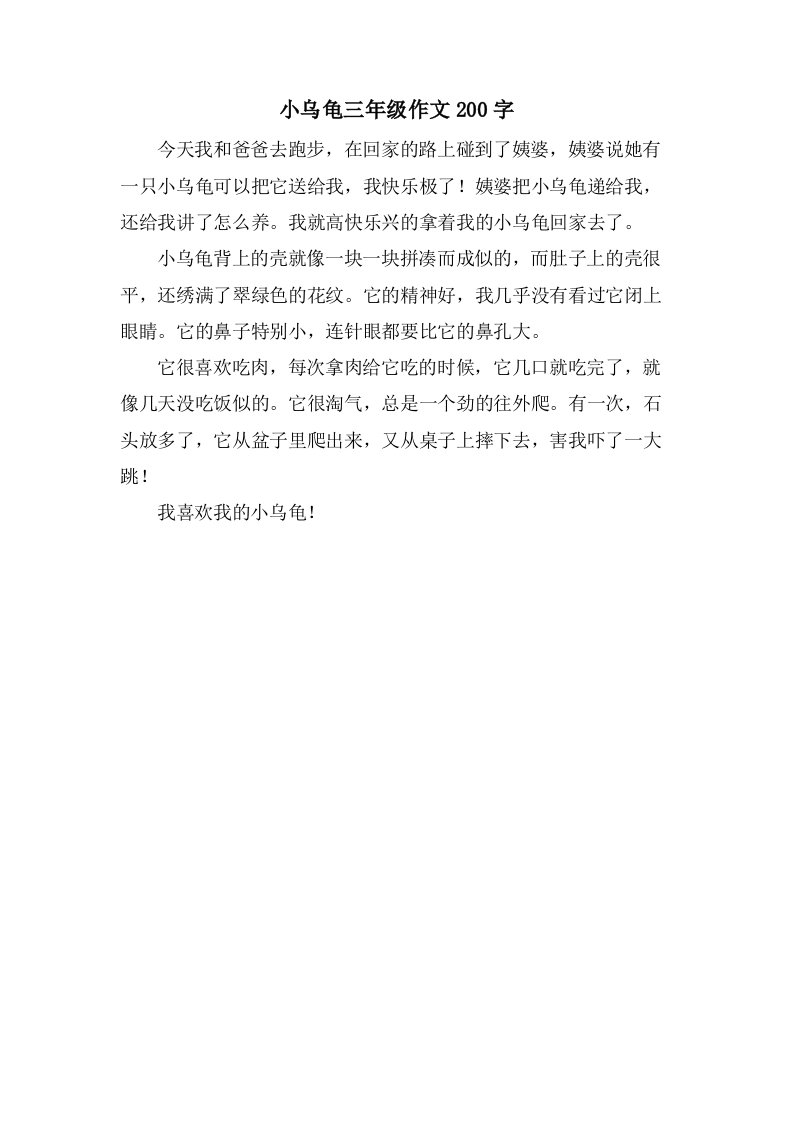 小乌龟三年级作文200字