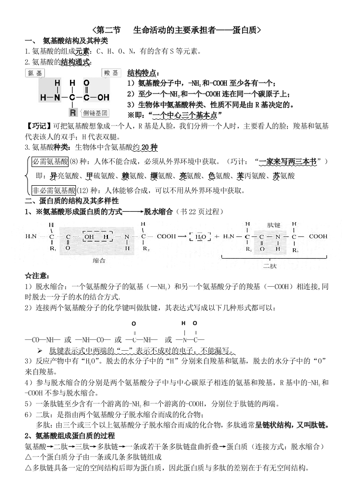 (完整word版)生命活动的主要承担者—蛋白质--知识点总结(word文档良心出品)