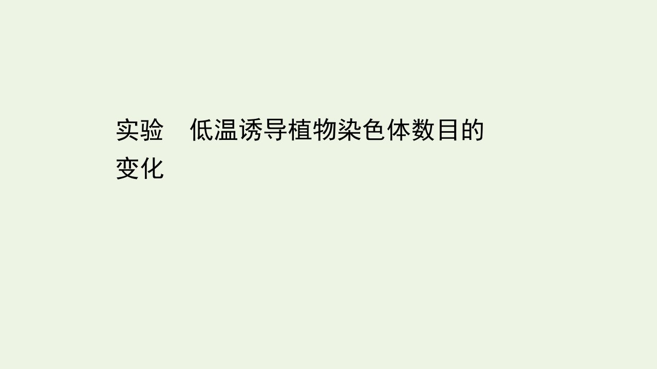 高中生物实验低温诱导植物染色体数目的的变化课件新人教版必修2