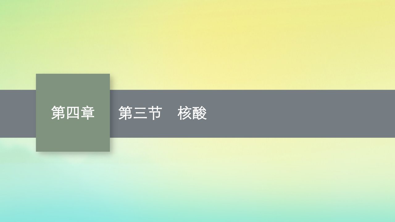 新教材适用高中化学第四章生物大分子第三节核酸课件新人教版选择性必修3