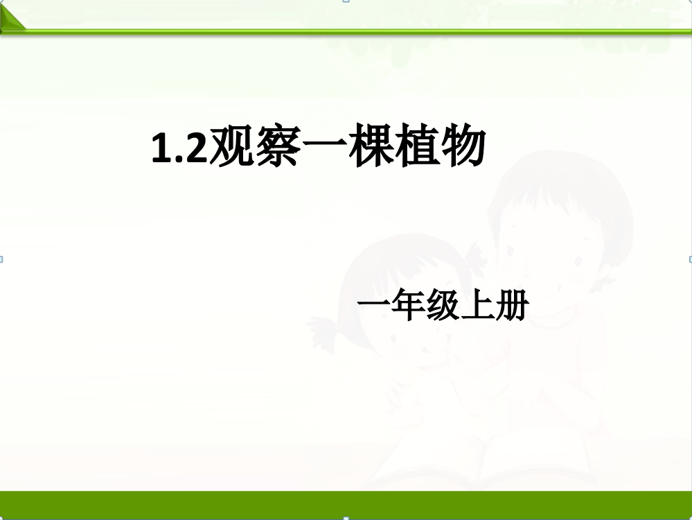 教科版一年级科学上册课件：1.2观察1棵植物(5)