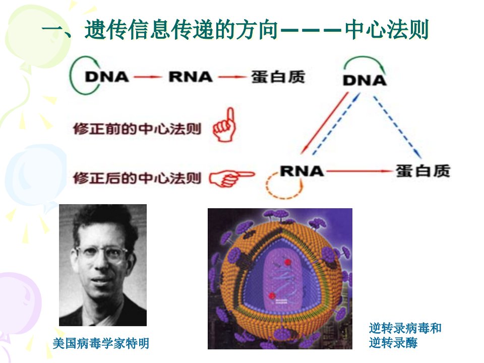 分子生物学基础