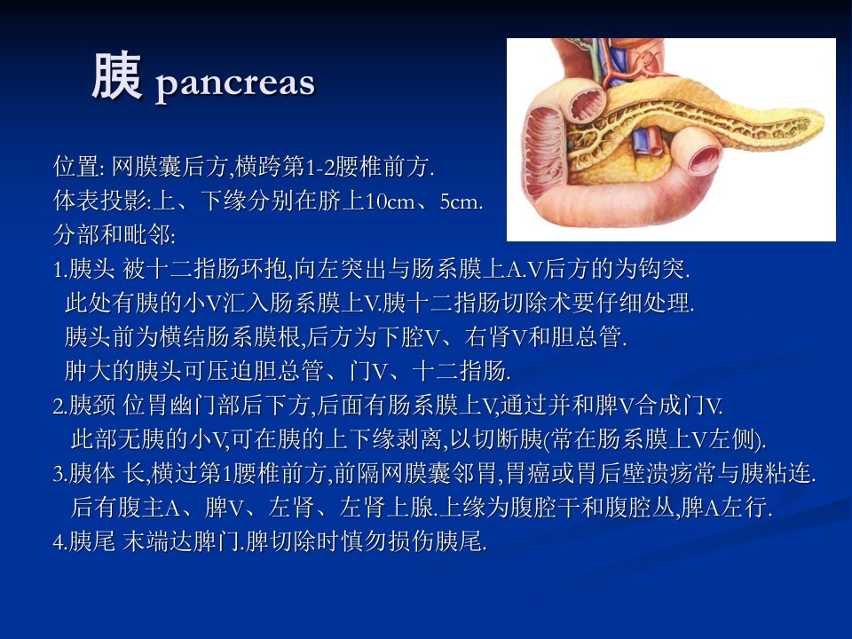 腹膜后腔