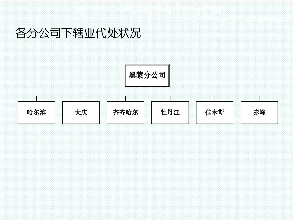 职业经理人-健力宝系统建设具体执行方案