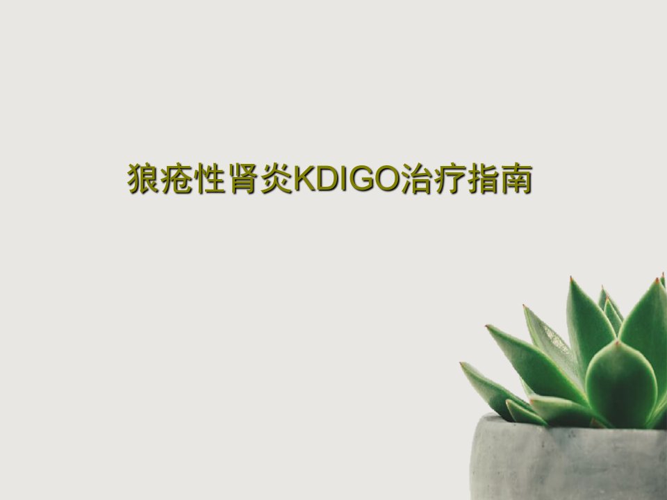 狼疮性肾炎KDIGO治疗指南课件