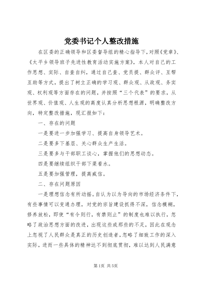 党委书记个人整改措施_