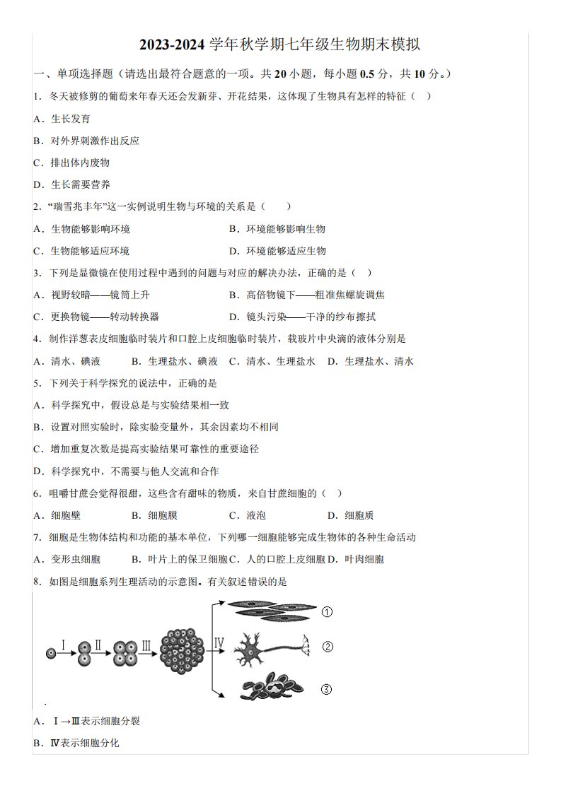 2024学年七年级上册期末模拟生物试题(含解析)