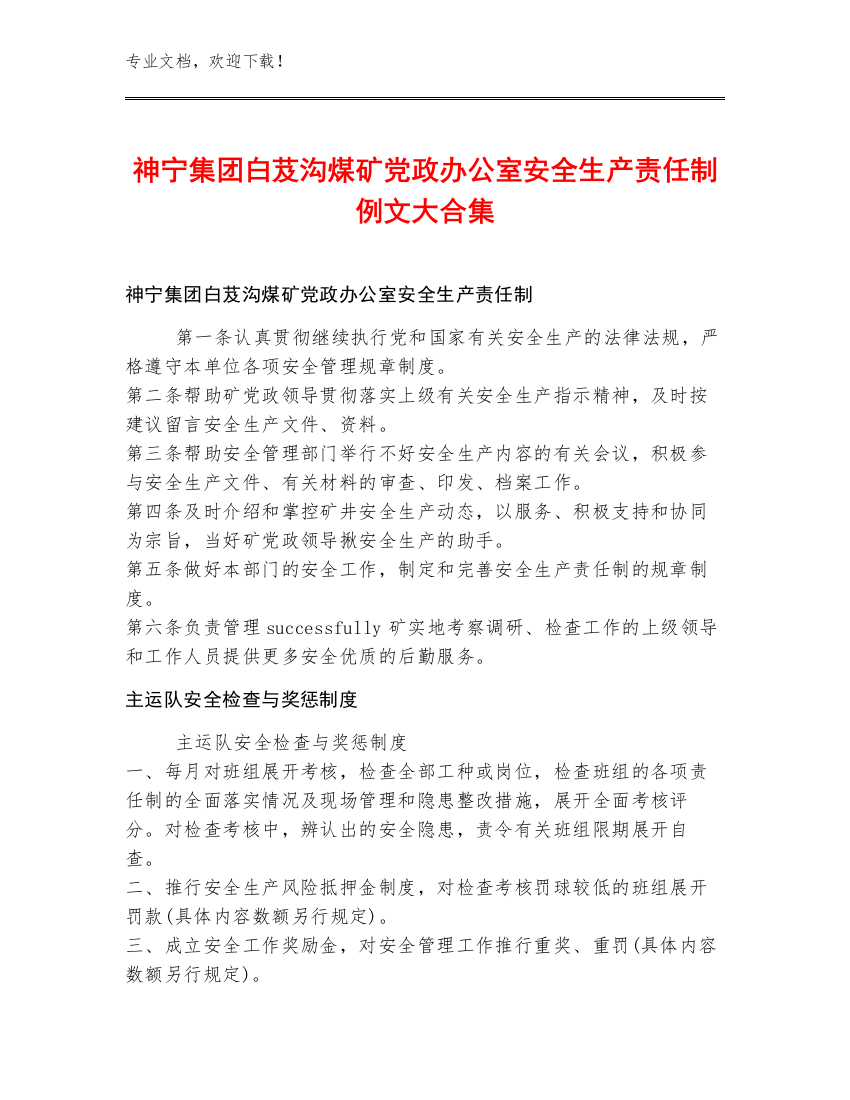 神宁集团白芨沟煤矿党政办公室安全生产责任制例文大合集