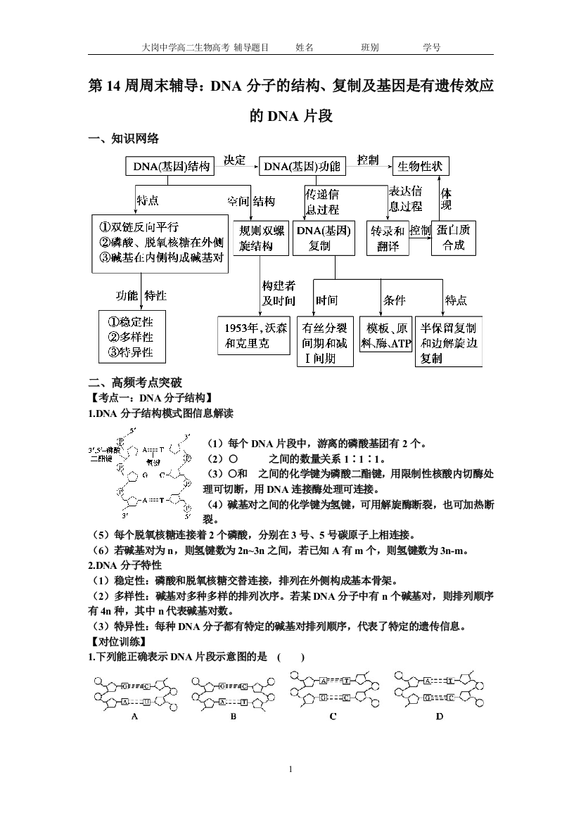 生物必修2基因的本质高频考点突破