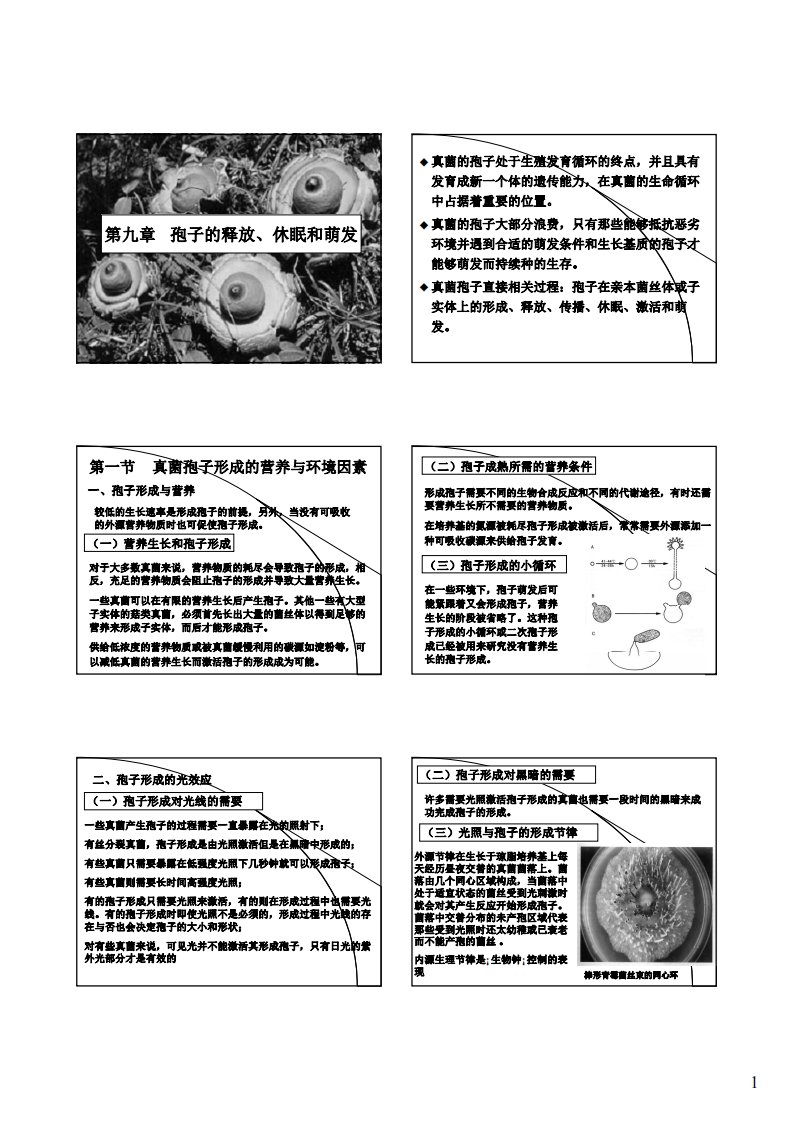 普通真菌学：9-孢子的休眠和释放