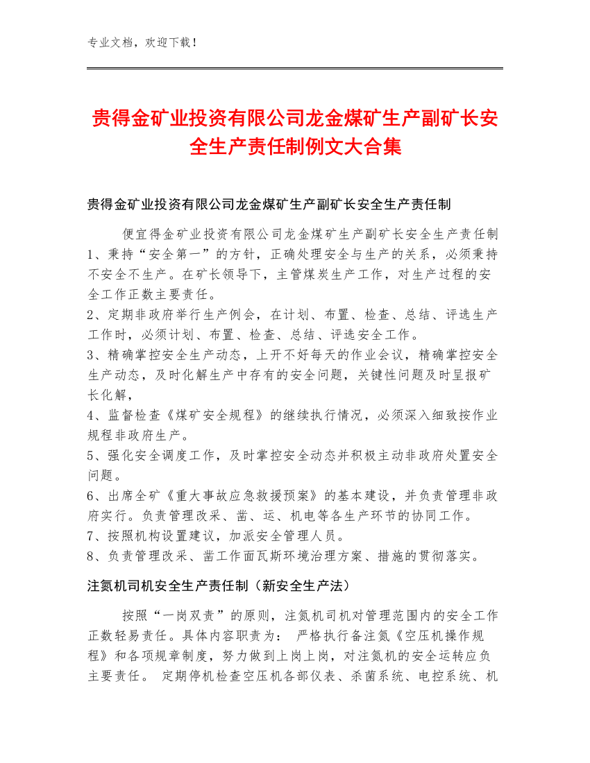 贵得金矿业投资有限公司龙金煤矿生产副矿长安全生产责任制例文大合集